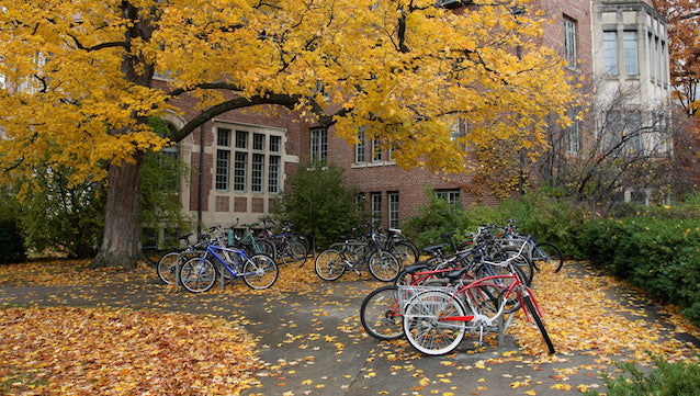 Final Stretch Fall Semester! Stay Healthy for Finals